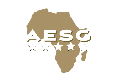 Africa Economic Summit Group