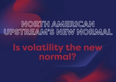 Volatility as the New Normal
