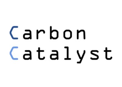 Carbon Catalyst